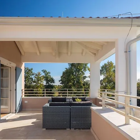 Divine By Ilc 布罗托尼贾